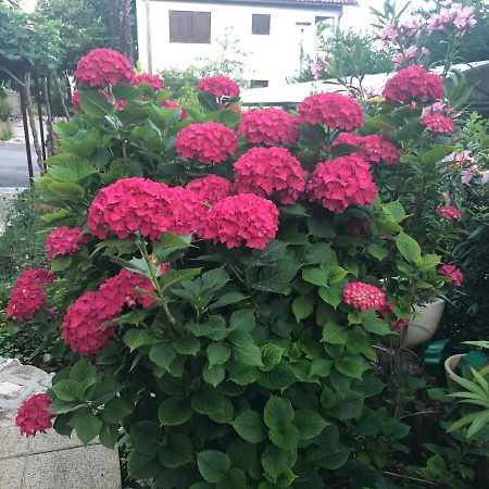 Casa Hortensia ニヴィーチェ エクステリア 写真