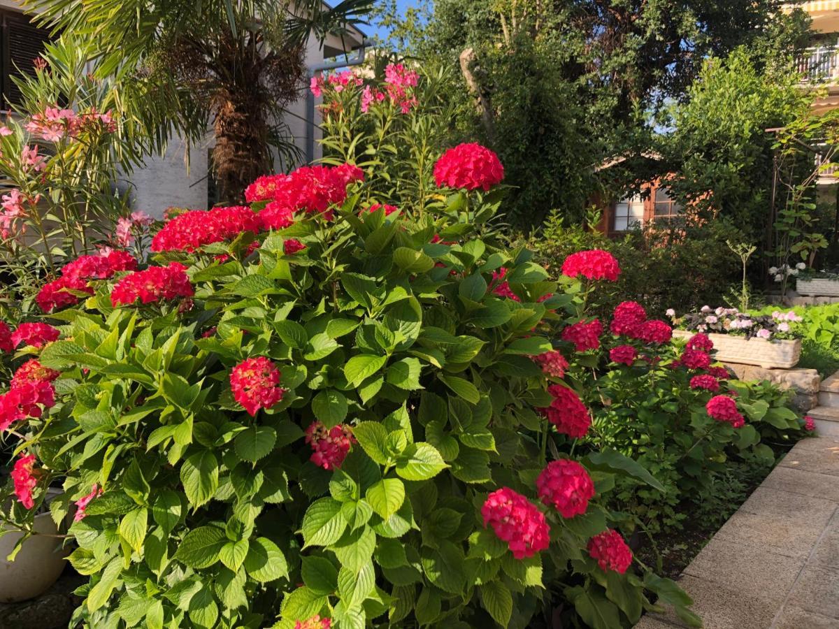 Casa Hortensia ニヴィーチェ エクステリア 写真