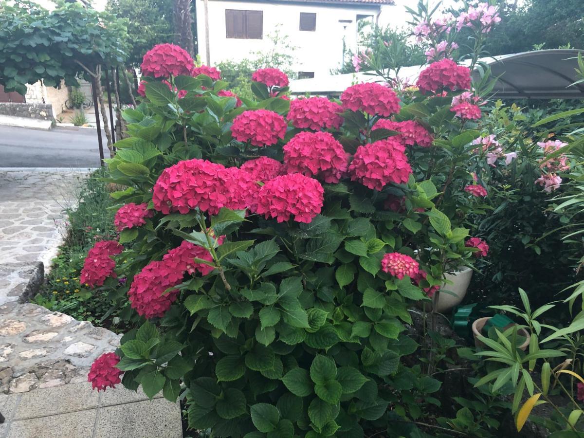 Casa Hortensia ニヴィーチェ エクステリア 写真